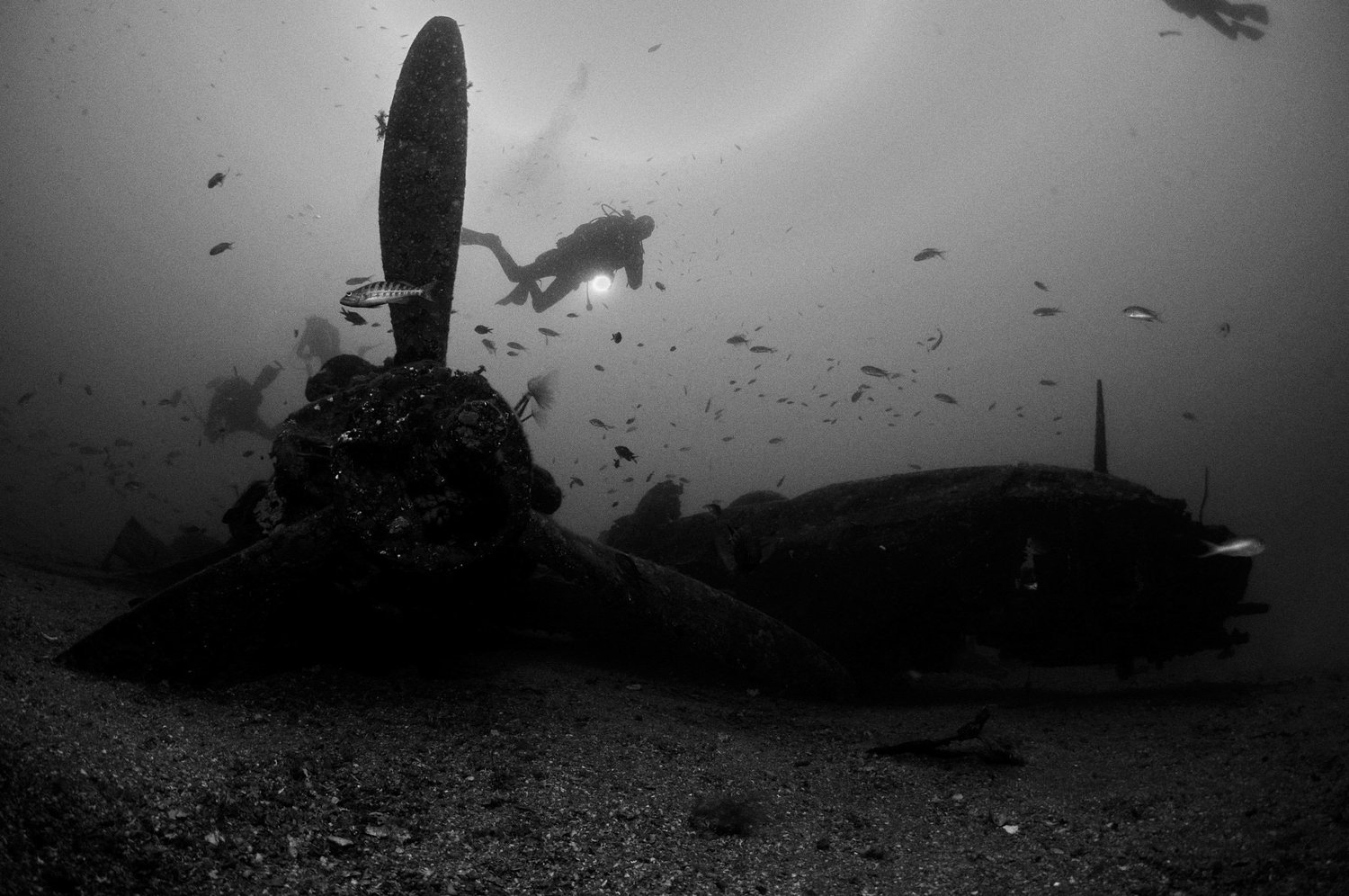 Unterwasseraufnahme eines Wracks mit einem großen Propeller im Vordergrund, umgeben von Fischen; ein Taucher im Hintergrund.