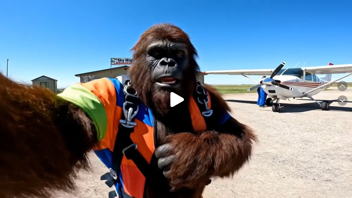 Bigfoot Goes Skydiving - PaulAlienVlogs - TikTok