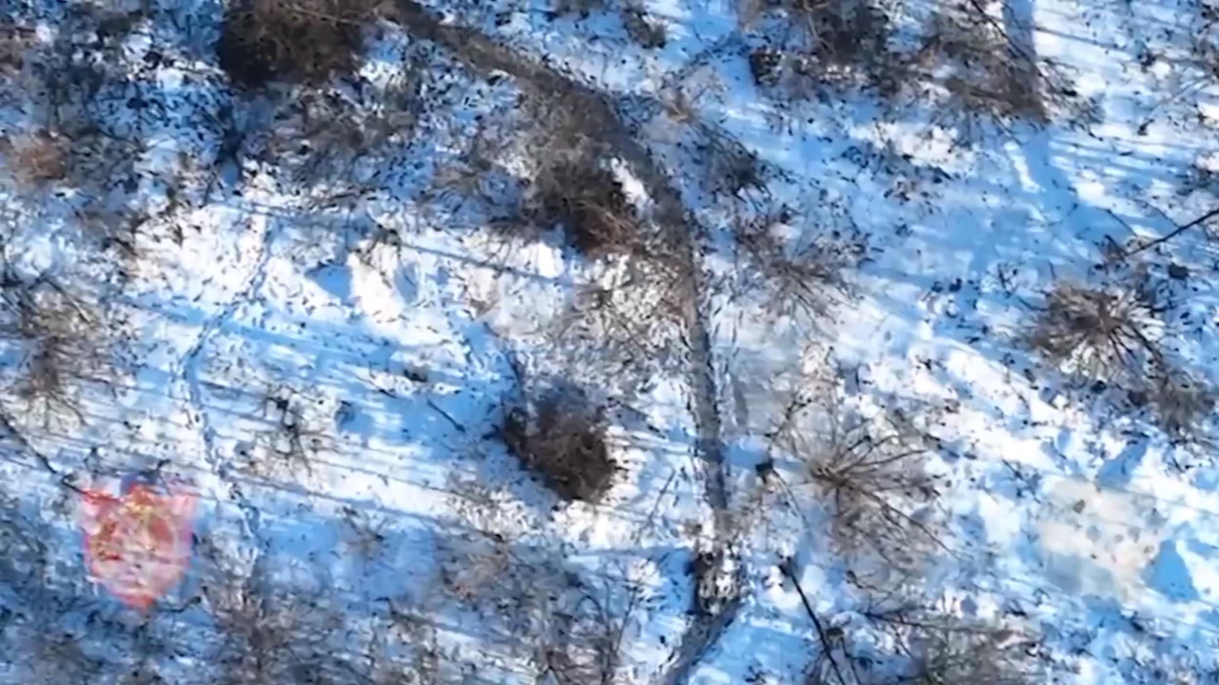 Screenshot, Live-View Drohnenangriff, Ukraine, Januar 2024 - Ukraine News